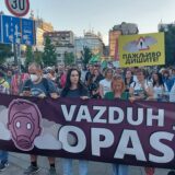Simišić: Ekološki protesti privlače više ljudi od političkih skupova, aktivizam ne daje rezultate "preko noći" 6