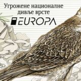 Pošta Srbije: Stepski soko na evropskom izboru za najlepšu marku 15
