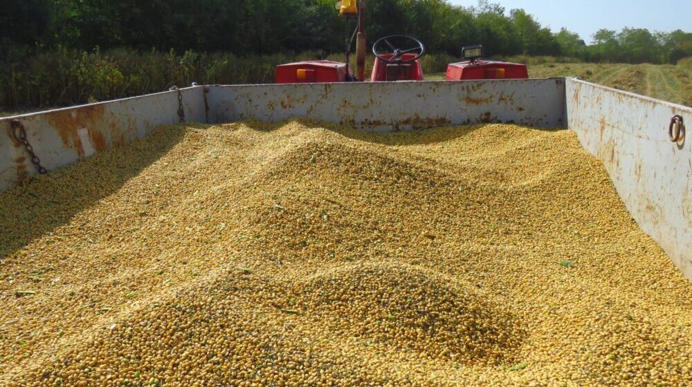 Novi vlasnik Sojaproteina: Uložićemo 50 miliona dolara 1