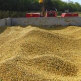 Novi vlasnik Sojaproteina: Uložićemo 50 miliona dolara 14