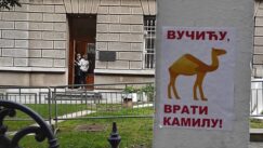 U centru Beograda plakati "Vučiću, vrati kamilu" 5