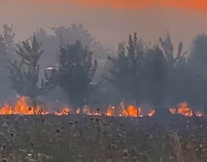 Kladovo: U avgustu 44 požara na oko 3,5 hiljade hektara 1