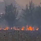 Kladovo: U avgustu 44 požara na oko 3,5 hiljade hektara 14