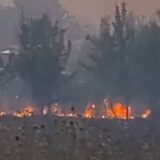Kladovo: U avgustu 44 požara na oko 3,5 hiljade hektara 12