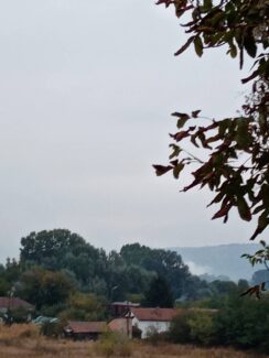 IMG_20210928_174944 Zaječar: Požar na deponiji Halovo, nesnosan dim širi se okolnim naseljima 2