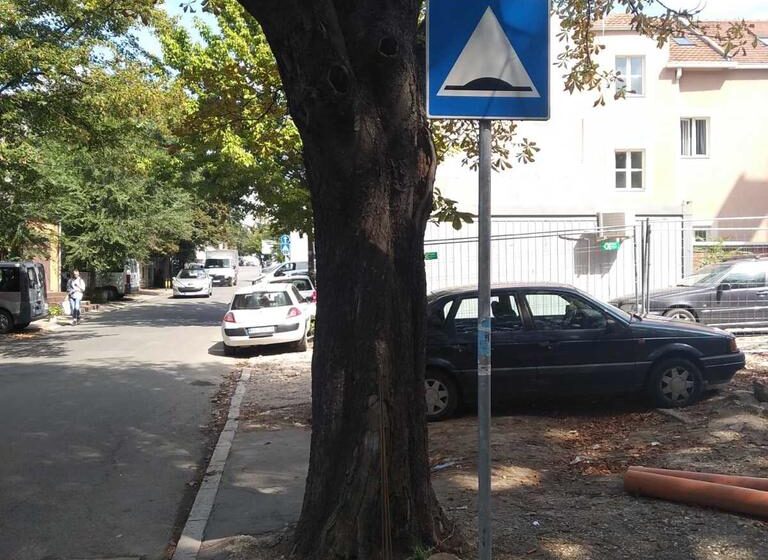 "Zelenilo Beograd": Stablo kestena u Ulici Grčića Milenka biće uklonjeno jer predstavlja bezbedonosni rizik 1