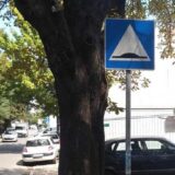 "Zelenilo Beograd": Stablo kestena u Ulici Grčića Milenka biće uklonjeno jer predstavlja bezbedonosni rizik 9