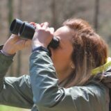 Kurs o pticama preko “žice” 7