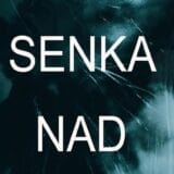 Srpska Nora Roberts u Montani 8