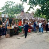 „Krajinska berba“ u Rogljevu – u slavu grožđa i vina 5