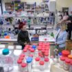 Fond za nauku Srbije izdvaja četiri miliona evra za 30 projekata mladih istraživača 18