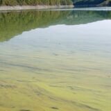 Ljujić: Voda za piće u Užicu bezbedna 7