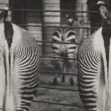 Gledanje na nov način 3