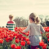 Zašto se smanjuje najviša nacija na svetu? 5