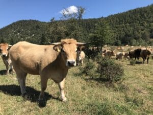 Farmeri iz Hrvatske: Da nije EU fondova mi ne bismo bili tu 2
