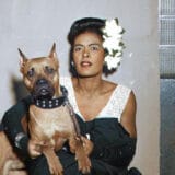 Razgovori sa životinjama i nesvakidašnje dobar spoj kinematografije i džeza na platformi MojOFF 1