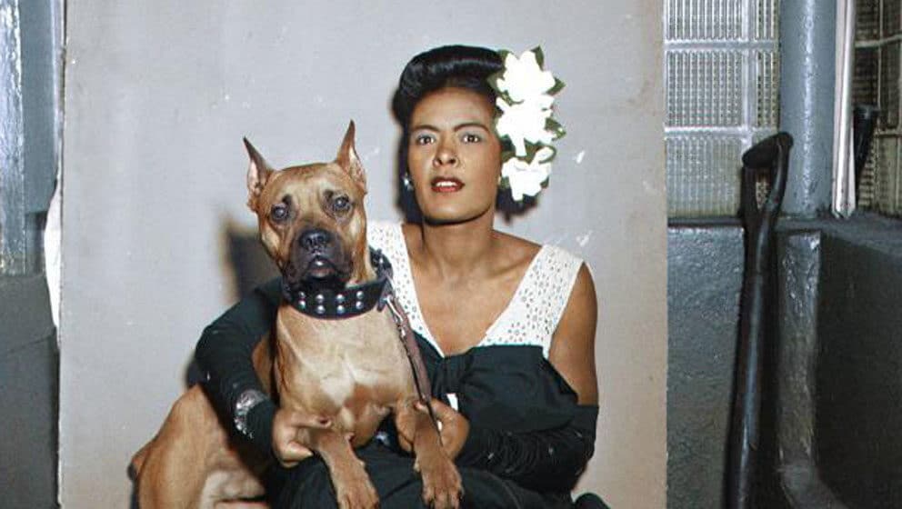 Razgovori sa životinjama i nesvakidašnje dobar spoj kinematografije i džeza na platformi MojOFF 1