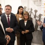 Izložba u Muzeju afričke umetnosti povodom šezdesetogodišnjice Prve konferencije Pokreta nesvrstanih 8