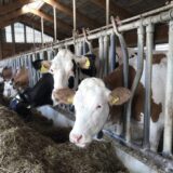 Poljoprivredna inspekcija po prijavi kontroliše fiktivna gazdinstava u Srbiji 2