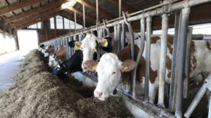 Ministarstvo poljoprivrede poziva paore da obnove registraciju gazdinstava 3