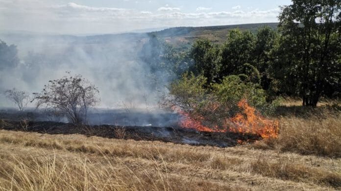 Saniran požar na deponiji u Zaječaru nakon tri dana 1