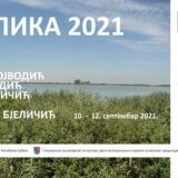 Likovna kolonija "Slika 2021." u Ečki 12