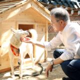 predsednik Južne Koreje Mun Džae In