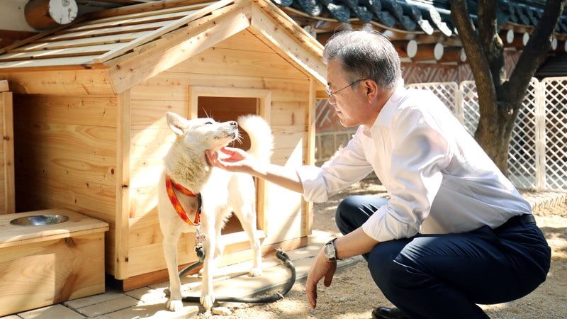 predsednik Južne Koreje Mun Džae In