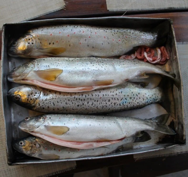 Ljudi sa Ohridskog jezera visoko cene pastrmku još od srednjovekovnog doba