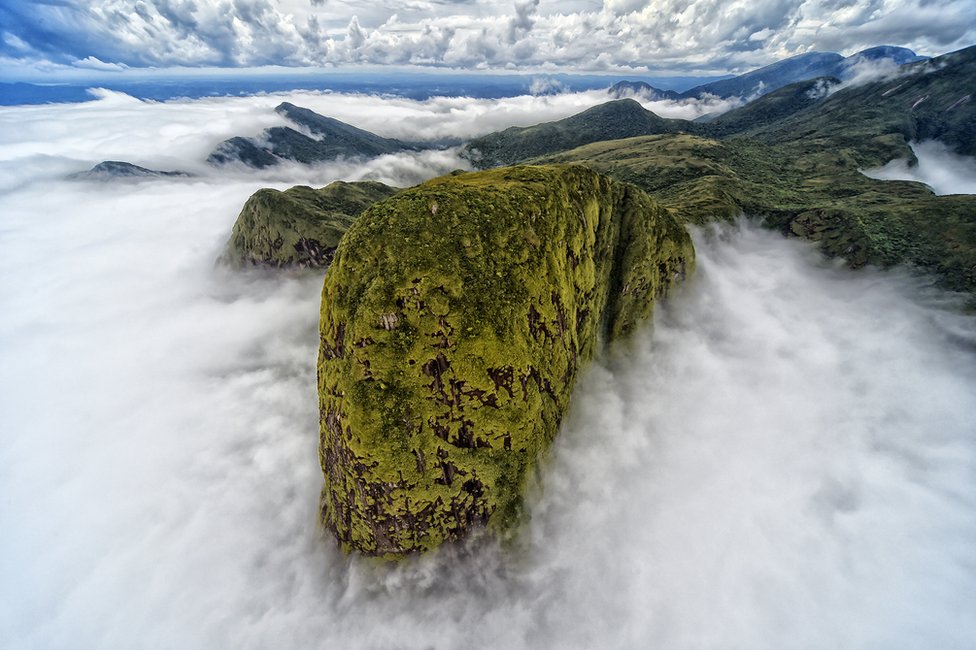 Planinski vrh pokriven zelenilom se uzdiže iznad oblaka