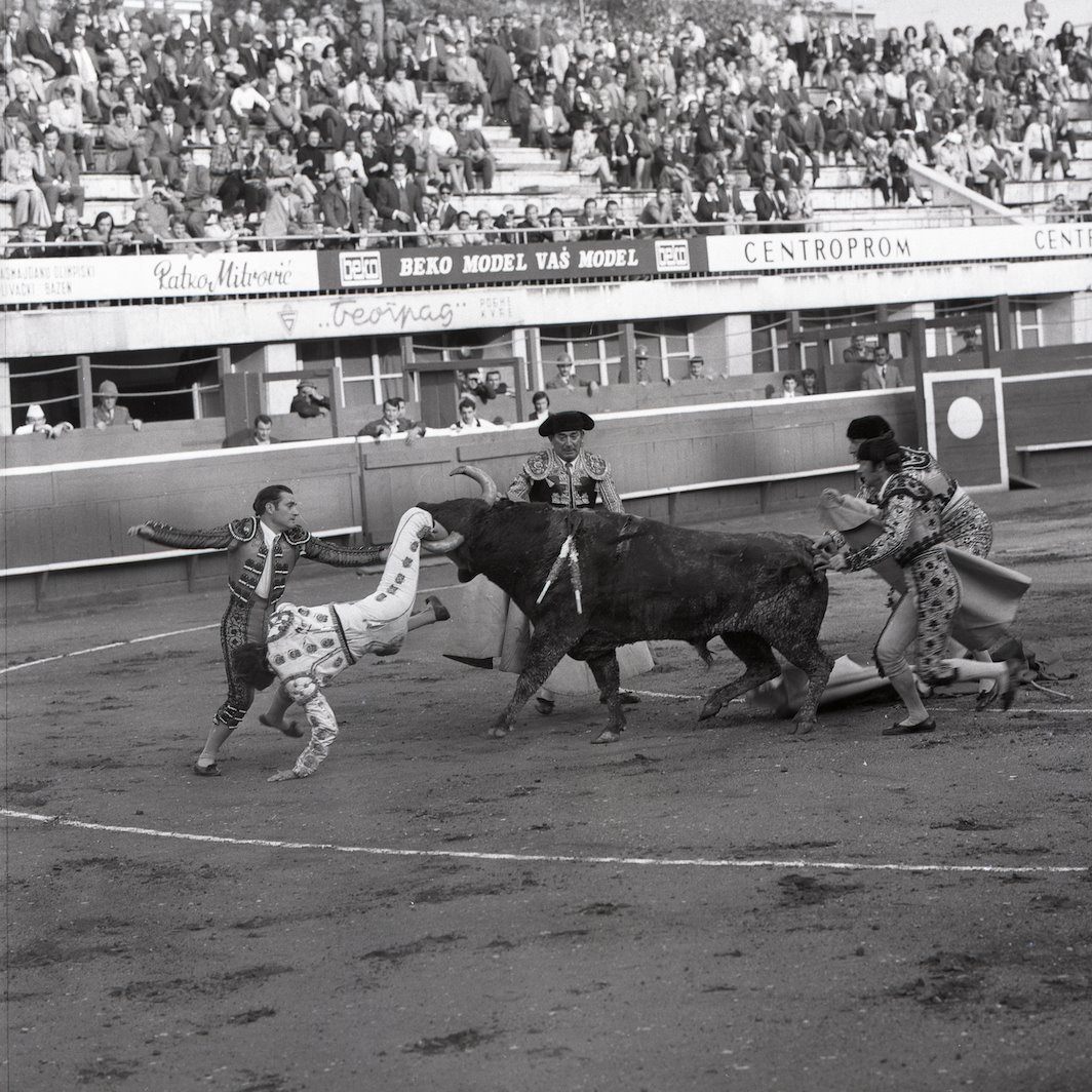 Beogradska korida i Luis Miguel Domingin