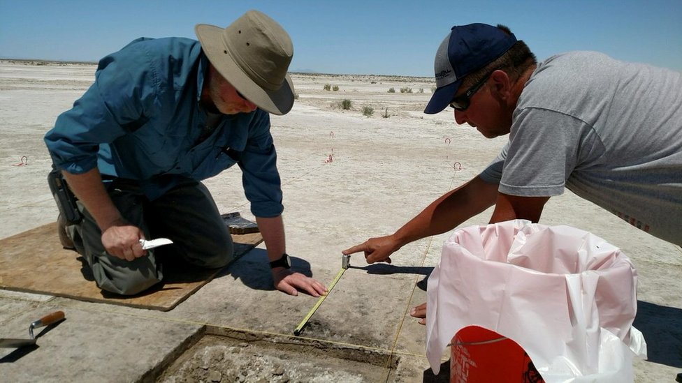 Arheolozi su semenke pronašli u pustinji Velikog slanog jezera