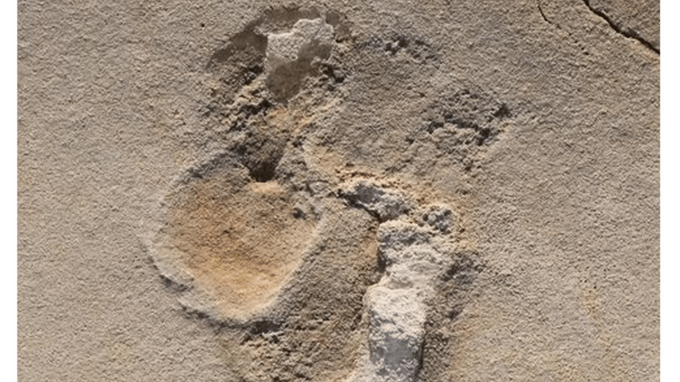Image of one of the Trachilos footprints