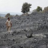 Šumski požari i Sirija: Pogubljeno 24 ljudi, osuđeni za izazivanje požara 2020. 9