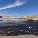 Velika naftna mrlja u Kaliforniji uništila staništa divljih vrsta 13