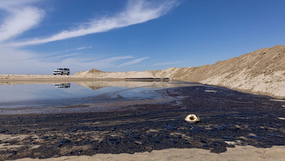 Velika naftna mrlja u Kaliforniji uništila staništa divljih vrsta 1