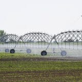 Za deceniju smanjena površina pod navodnjavanjem: Šta je bilo sa arapskim kreditom od 100 miliona dolara? 4