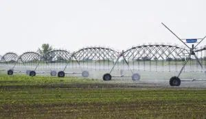 U Srbiji je tokom 2025. navodnjavano 47.543 hektara poljoprivrednih površina, što je bilo 2,3 odsto manje nego u prethodnoj godini, objavio je danas Republički zavod za statistiku (RZS).