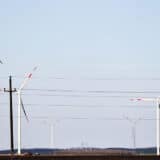 Nove tehnologije spasavaju ptice od sudara sa vetroturbinama 4