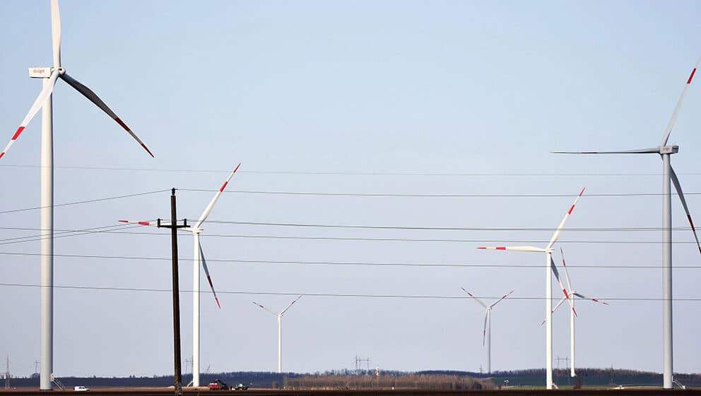 Nove tehnologije spasavaju ptice od sudara sa vetroturbinama 1