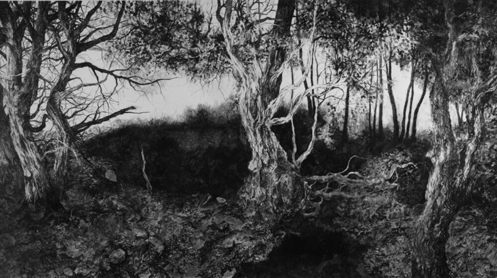 „Zagledan u šumu svoga duha“ od večeras u „Haosu“ 1 „Zagledan u šumu svoga duha“ od večeras u „Haosu“ 1