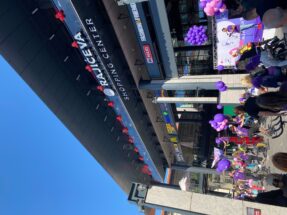 Daj pedalu raku: Borba protiv raka dojke da bude nacionalni prioritet (FOTO) 2