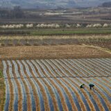 Novi milioni evra iz EU fondova na dugom čekanju 11