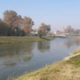 U gradskim jezerima u Zrenjaninu šest vrsta ribe 1