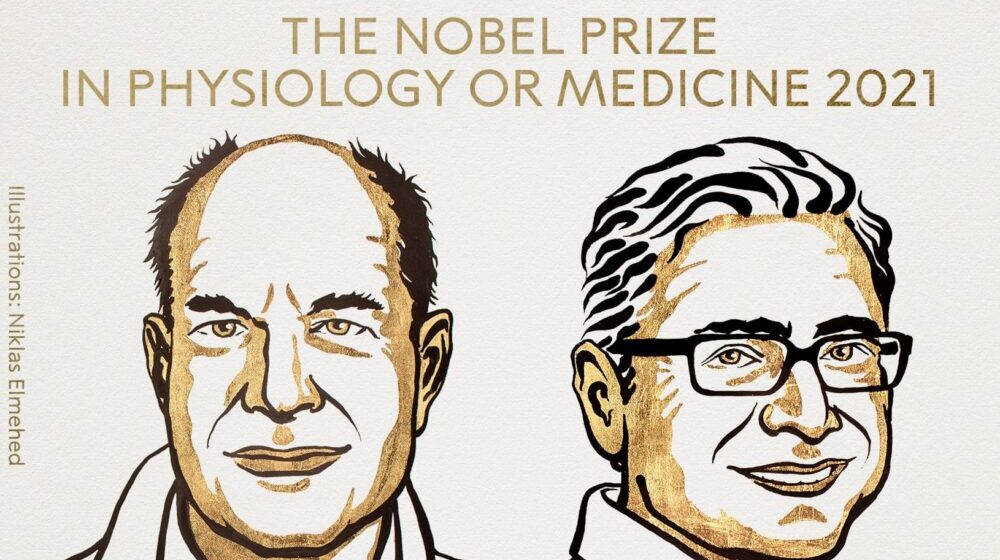 Dejvid Džulijus i Ardem Pataputijan ovogodišnji dobitnici Nobelove nagrade za "fiziologiju ili medicinu" 1