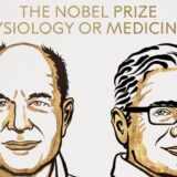 Dejvid Džulijus i Ardem Pataputijan ovogodišnji dobitnici Nobelove nagrade za "fiziologiju ili medicinu" 5