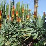 Filipini: Tajanstveno ostrvo Borakaj 14