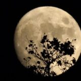 Ruska letelica Luna-25 se srušila na površinu Meseca 3