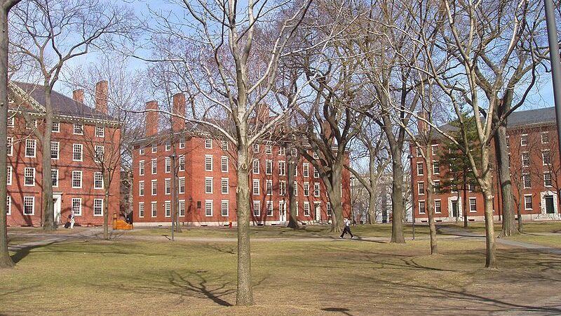 Gej Njujorčanka iz porodice imigranata sa Haitija: Ko je Klodin Gej, koja je podnela ostavku na mestu predsednice Harvarda? 2