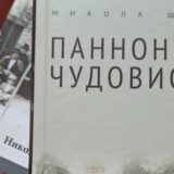 Manjinski pogled na zla vremena 3